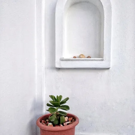 Aparthotel Dedalos Naxos Naxos City