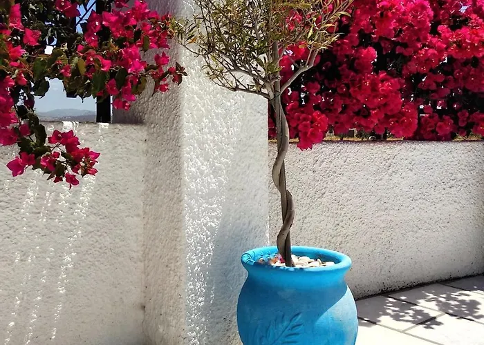 Dedalos Naxos Lejlighedshotel Naxos City