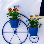 Lägenhetshotell Dedalos Naxos 4*
