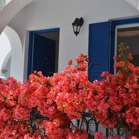 Dedalos Naxos מלון דירות Naxos City