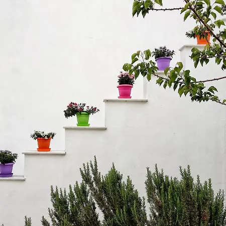 Appart hôtel Dedalos Naxos