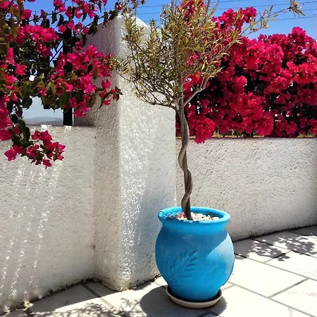 Dedalos Naxos Ξενοδοχείο με διαμερίσματα Naxos City