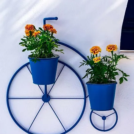 شقة فندقية Dedalos Naxos 4*