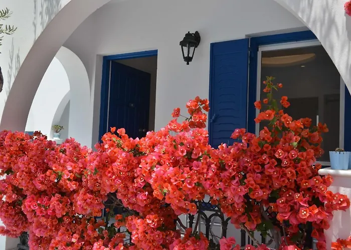 Dedalos Naxos Lägenhetshotell Naxos City