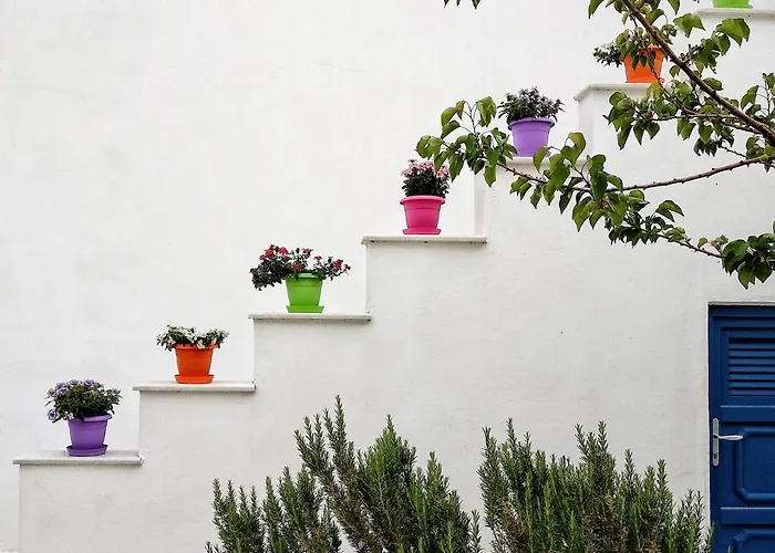 Appart hôtel Dedalos Naxos