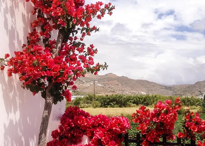 Appart hôtel Dedalos Naxos 4*