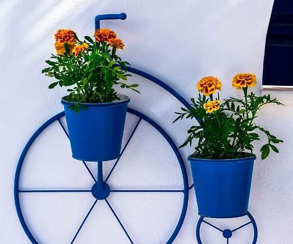 Appart hôtel Dedalos Naxos 4*